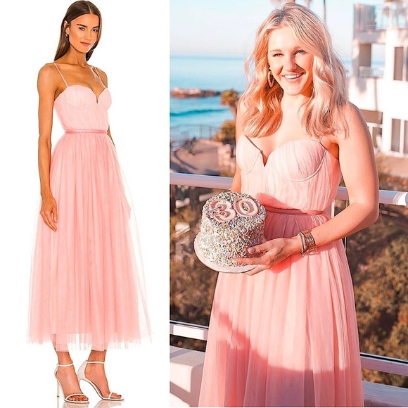 SAU LEE Blush Tulle Sleeveless‎ Ruched Pleated Bustier Bodice Velvet Trim Gown 8 - Picture 6 of 11